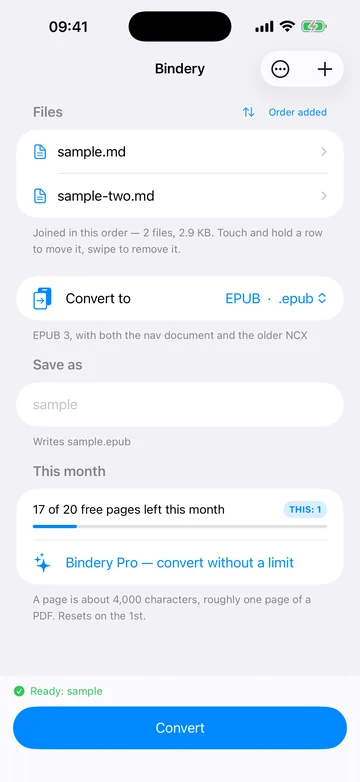 The format picker, with EPUB selected and a summary of what that format will produce.